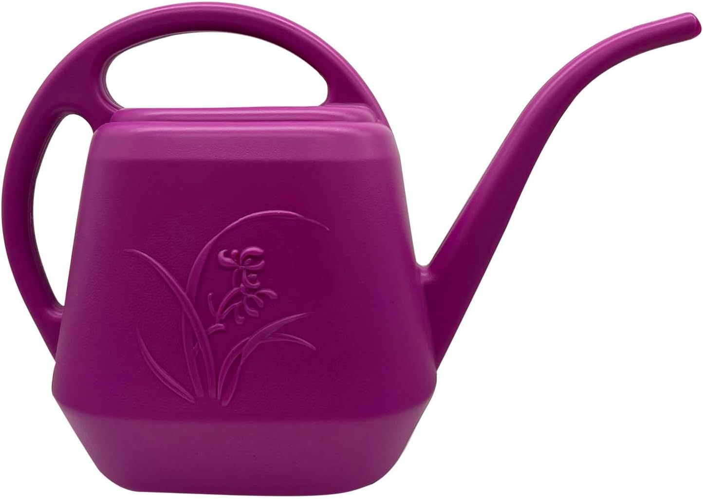 Plant Watering Can 1/2 Gallon  - Watering Can Long Spout review and price