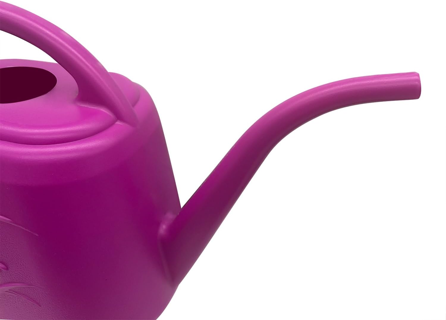 Plant Watering Can 1/2 Gallon  - Watering Can Long Spout review and price