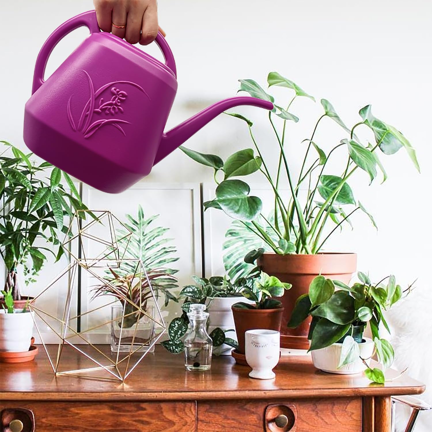 Plant Watering Can 1/2 Gallon  - Watering Can Long Spout review and price