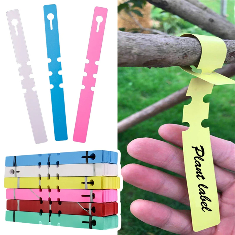 100-200pcs Waterproof Plant Ma - Gardening Tools Labeled review and price