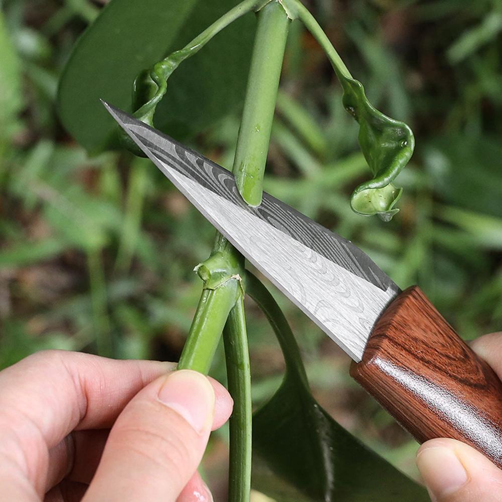 Sharp Grafting Knife with Wood - Harvest Knife Garden review and price