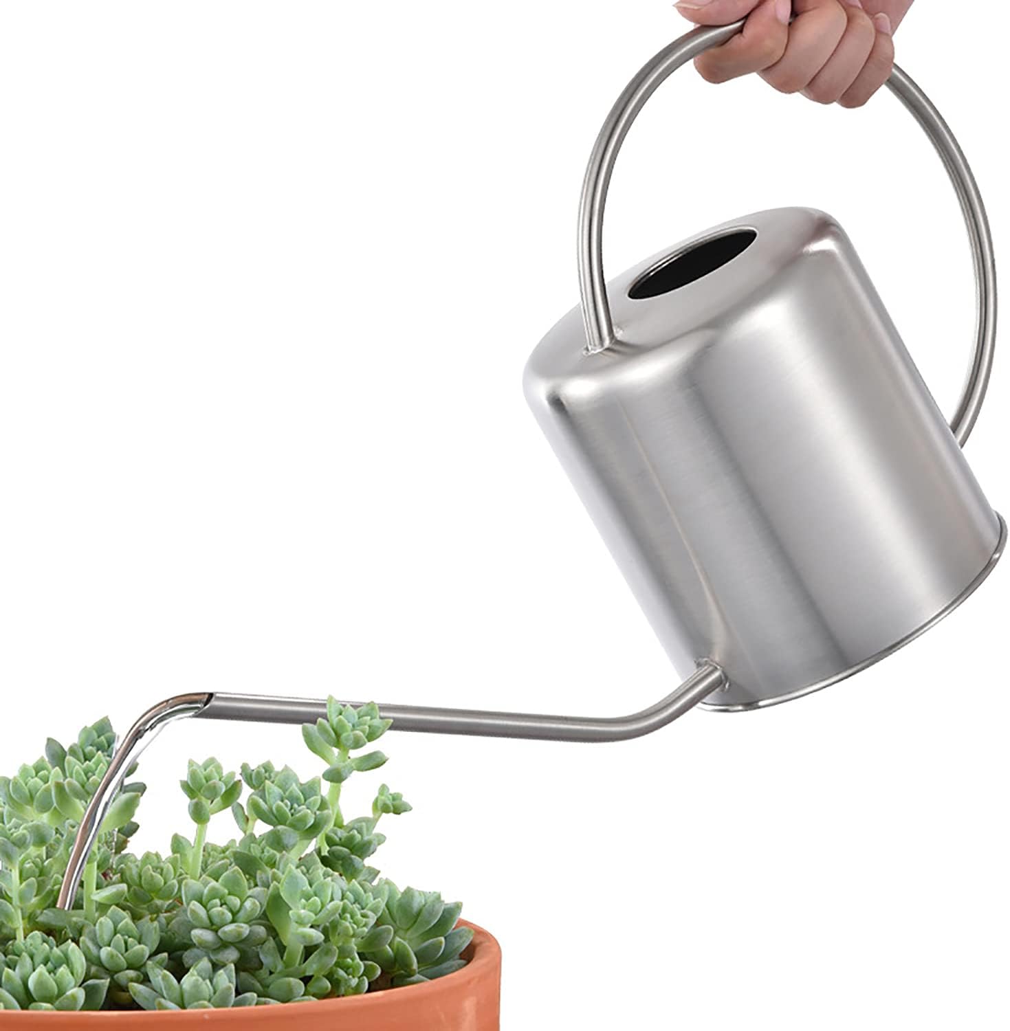 51 oz Stainless Steel Watering - Watering Can Long Spout review and price