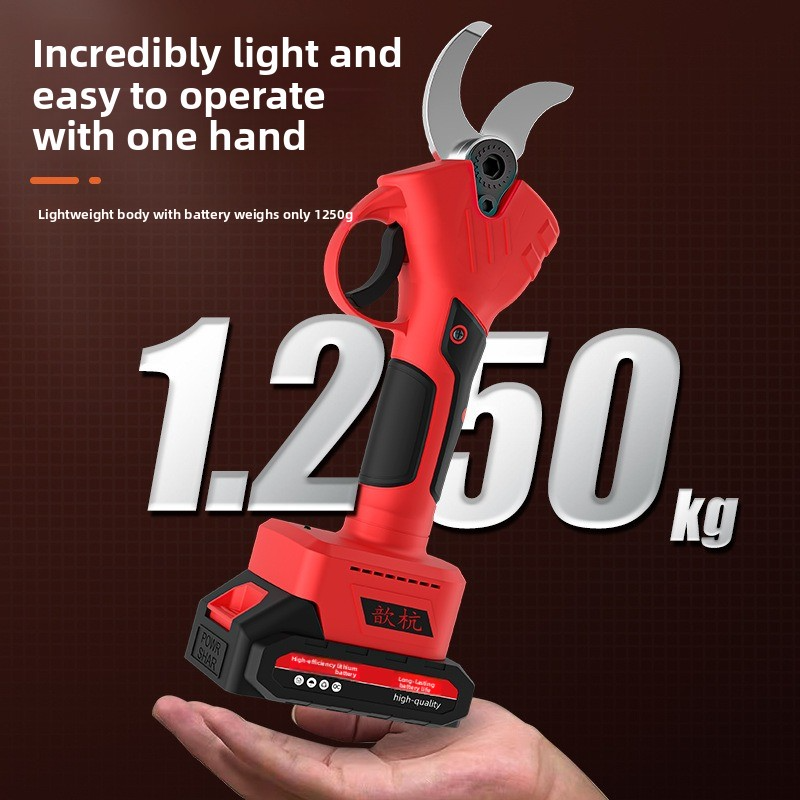 Rechargeable Lithium Battery E - Gardening Tools Spade review and price