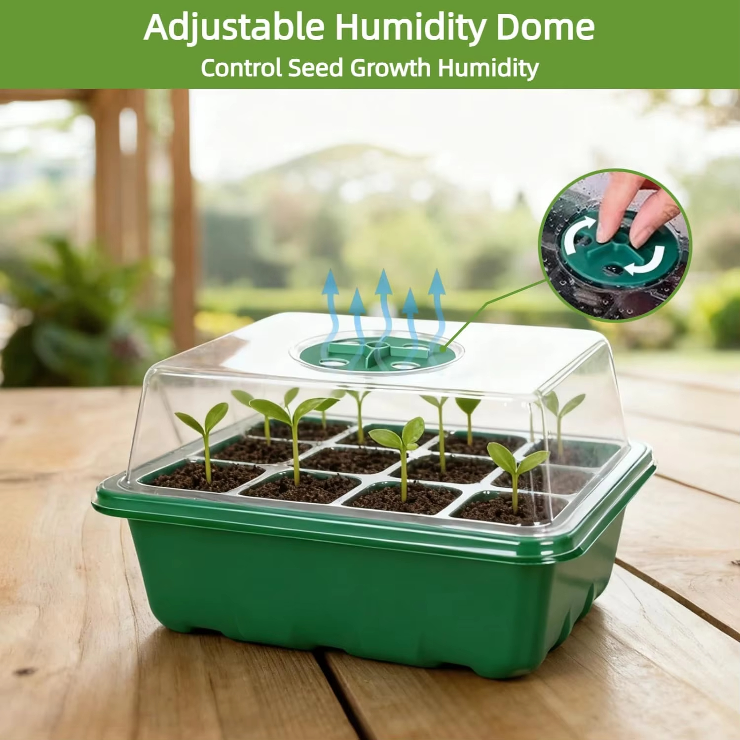 3Pcs Seed Starter Tray Mini Gr - Propagation Tray Dome review and price