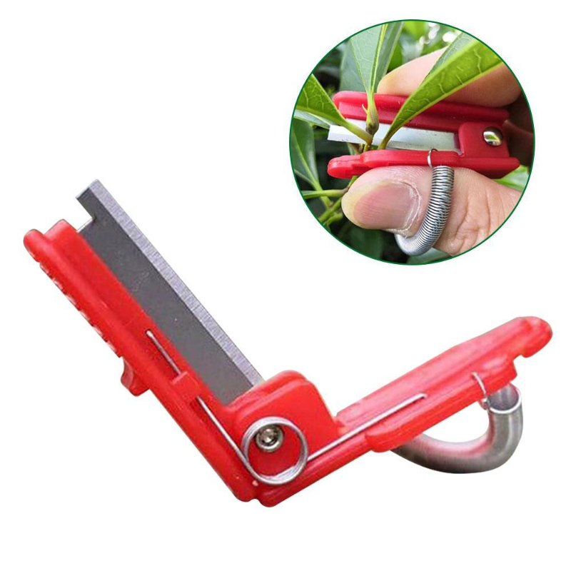 Knife Separator Vegetable Frui - Harvest Knife Garden review and price
