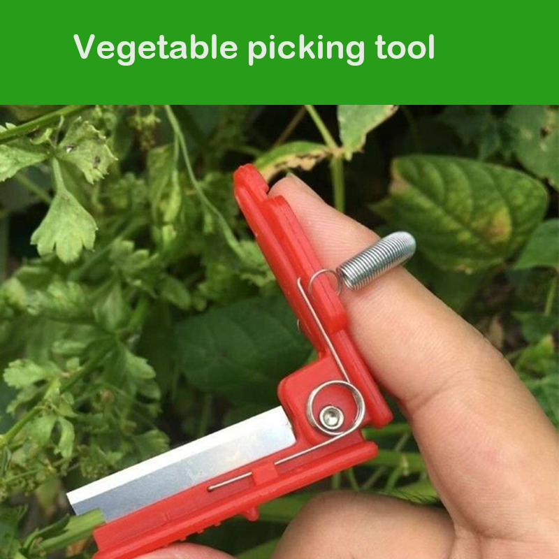 Knife Separator Vegetable Frui - Harvest Knife Garden review and price