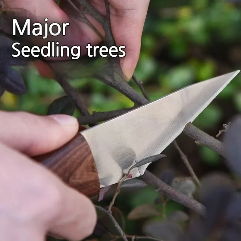 Wooden Handle Grafting Knife w - Harvest Knife Garden review and price