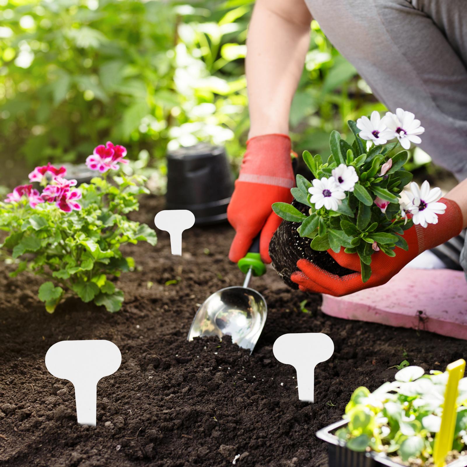 Gardening Markers Plant Tags 1 - Gardening Tools Labeled review and price
