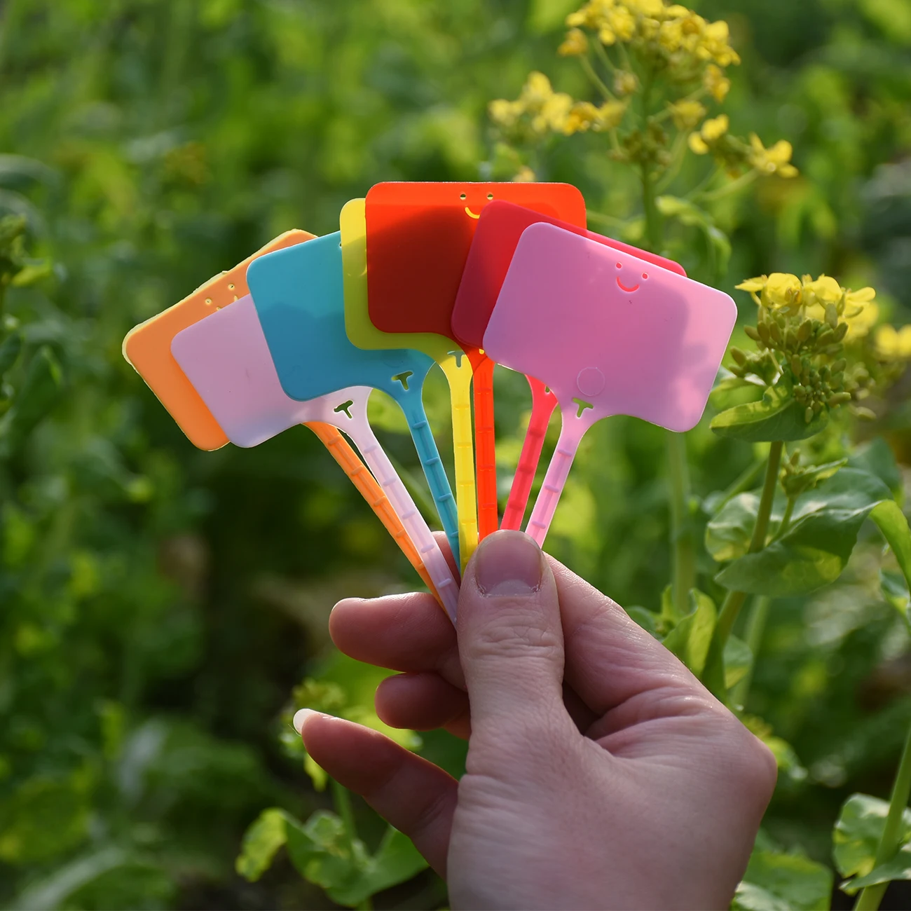 50PCS Waterproof Garden Plant  - Gardening Tools Labeled review and price