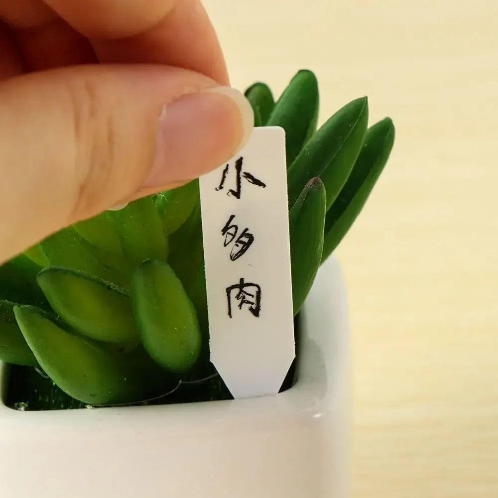 100Pcs Reusable Classification - Gardening Tools Labeled review and price