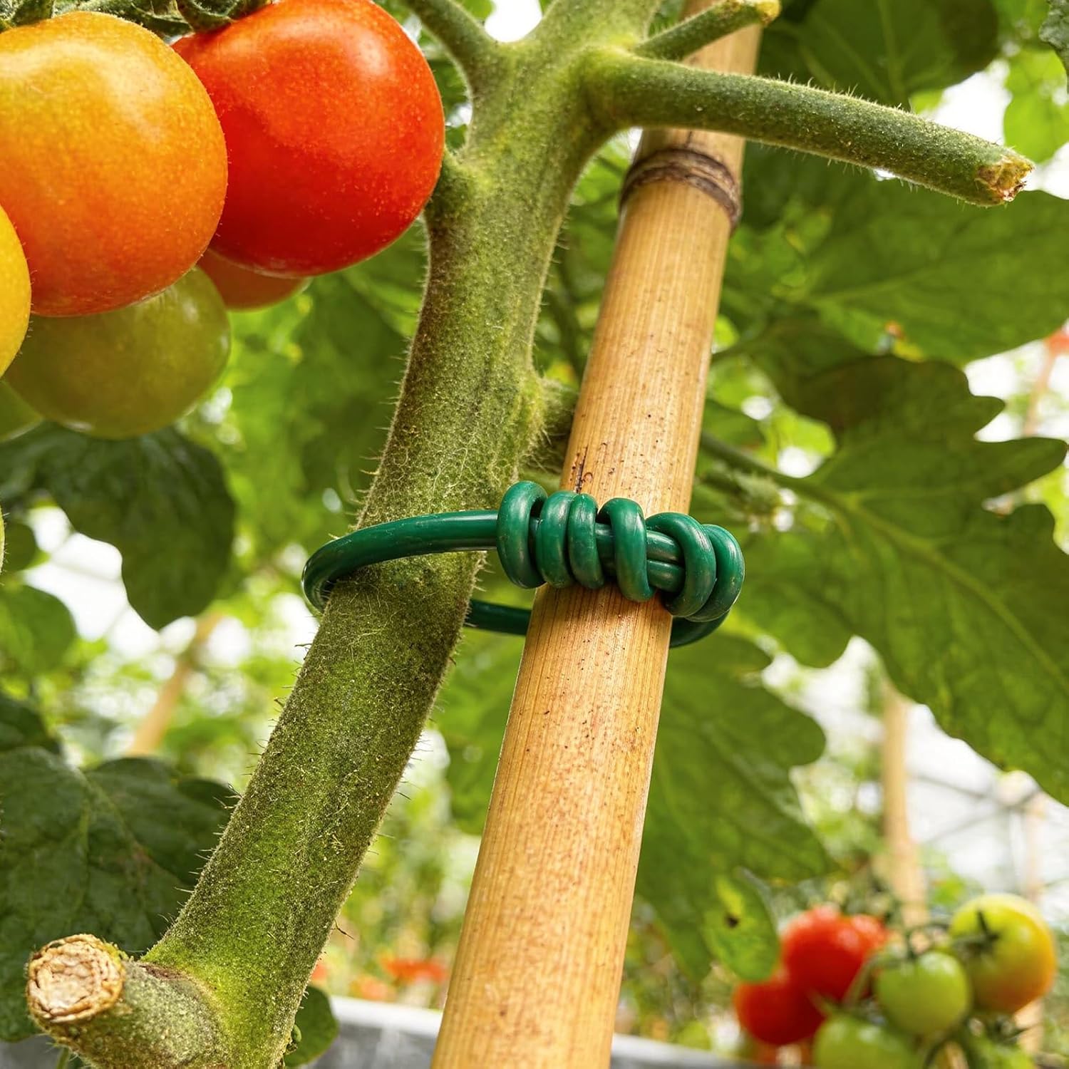 10/30M Iron Wires PVC-coated G - Garden Wire Twist Tie review and price