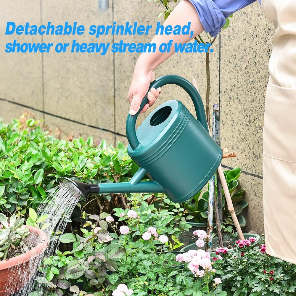 1 Gallon Watering Can for Indo - Watering Can Long Spout review and price