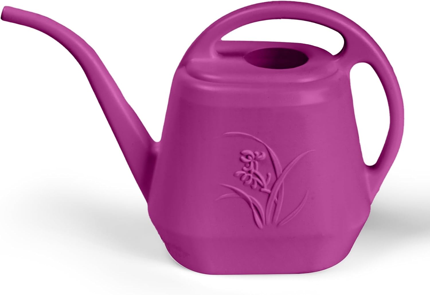 1/2 Gallon Watering Can with L - Watering Can Long Spout review and price