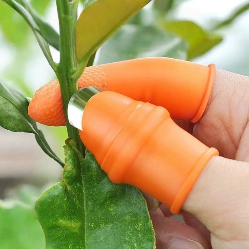 Vegetable Picking Stainless St - Harvest Knife Garden review and price