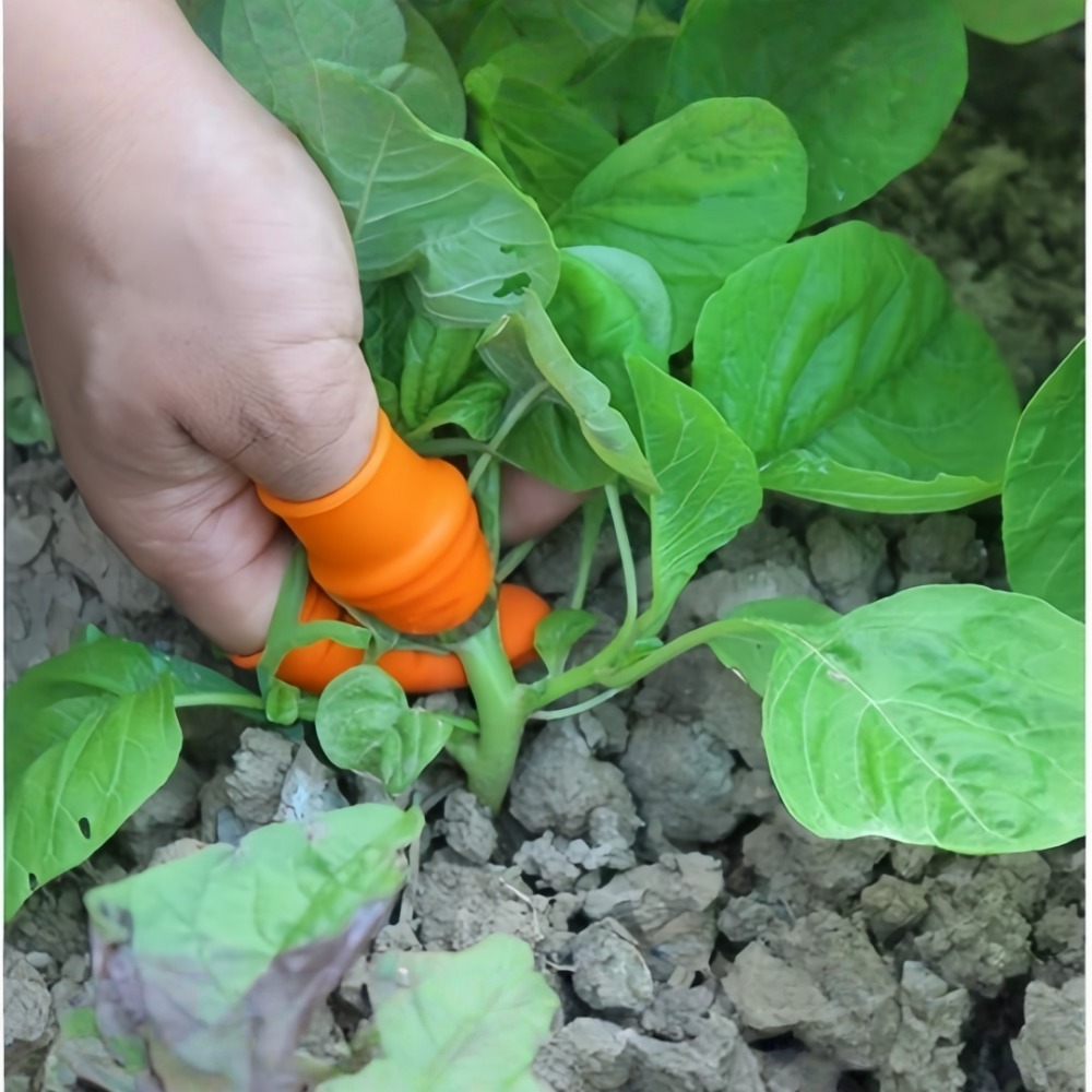 Vegetable Picking Stainless St - Harvest Knife Garden review and price