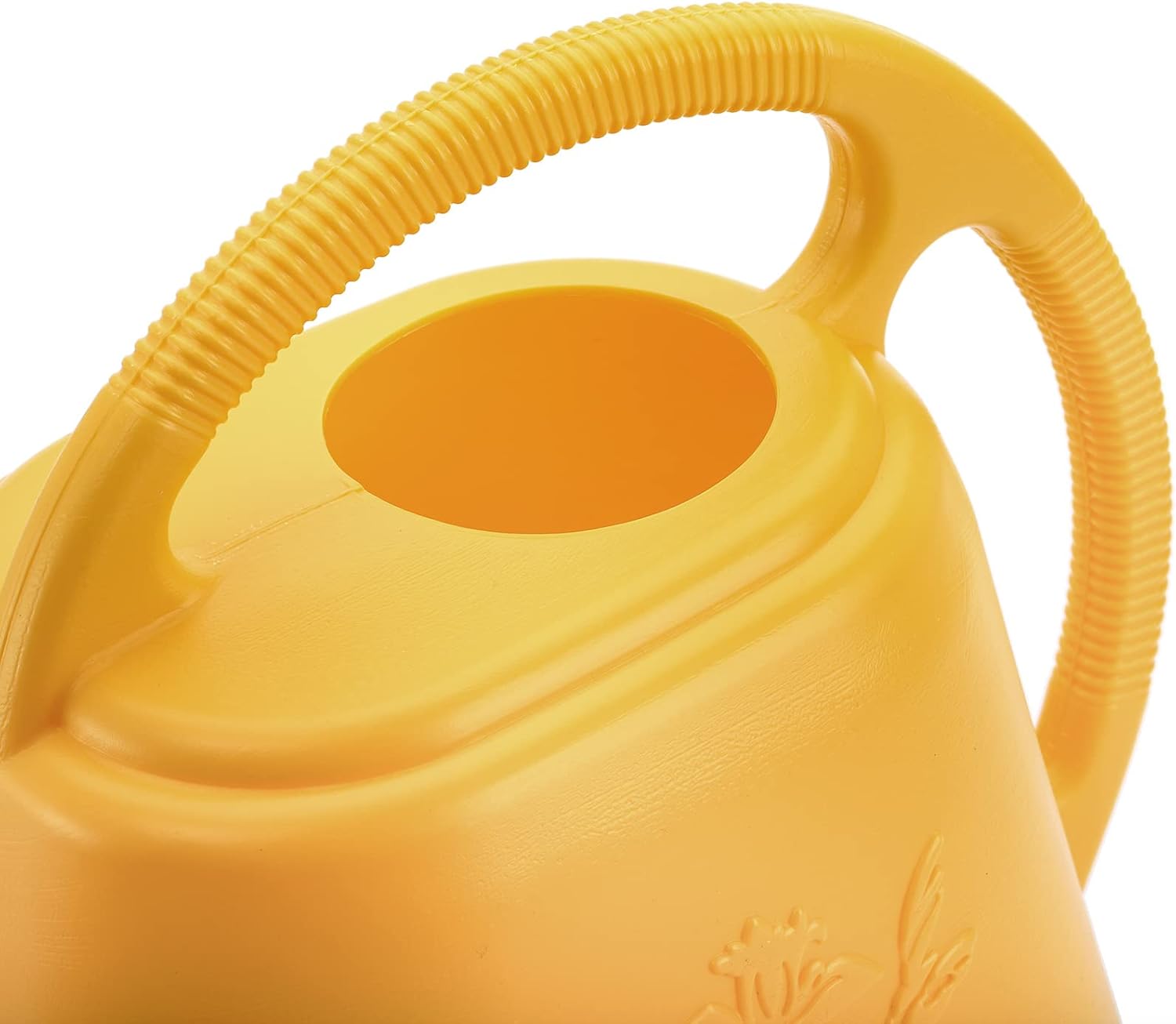 1-Gallon Plastic Watering Can  - Watering Can Long Spout review and price