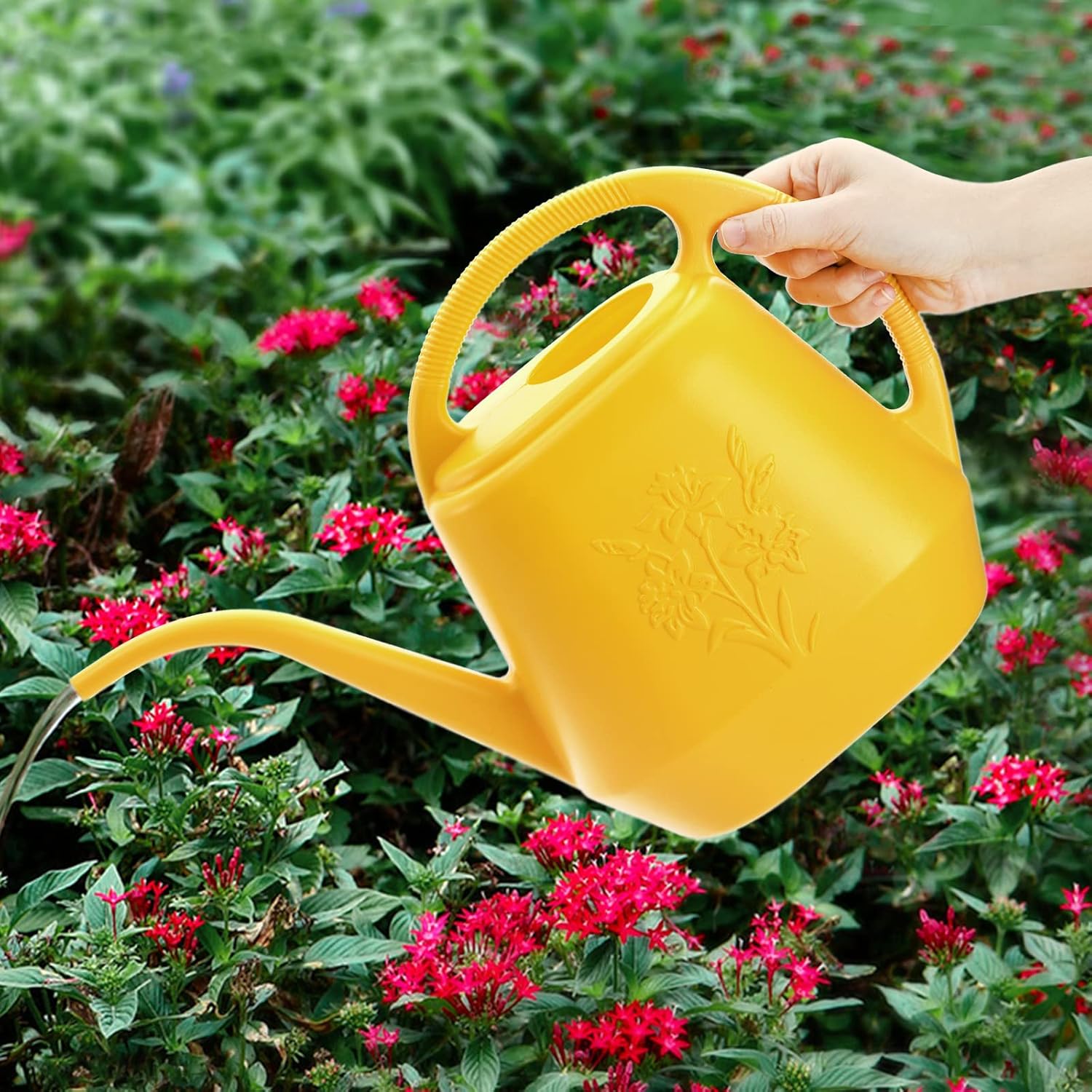 1-Gallon Plastic Watering Can  - Watering Can Long Spout review and price